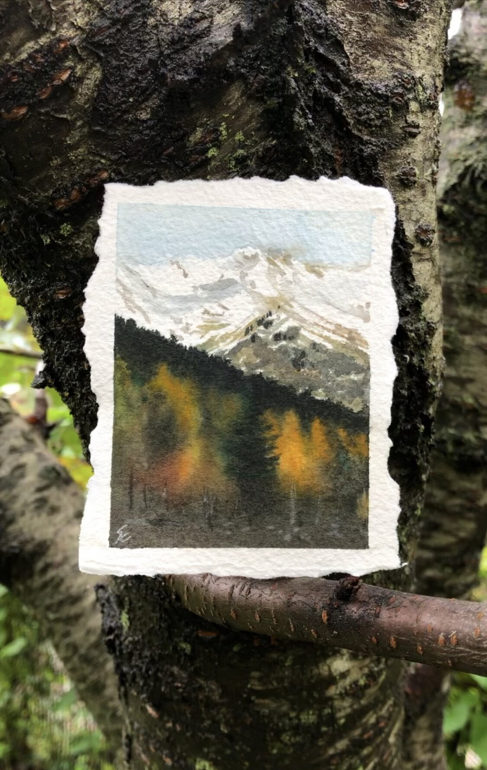 Postal de Otoño - 4