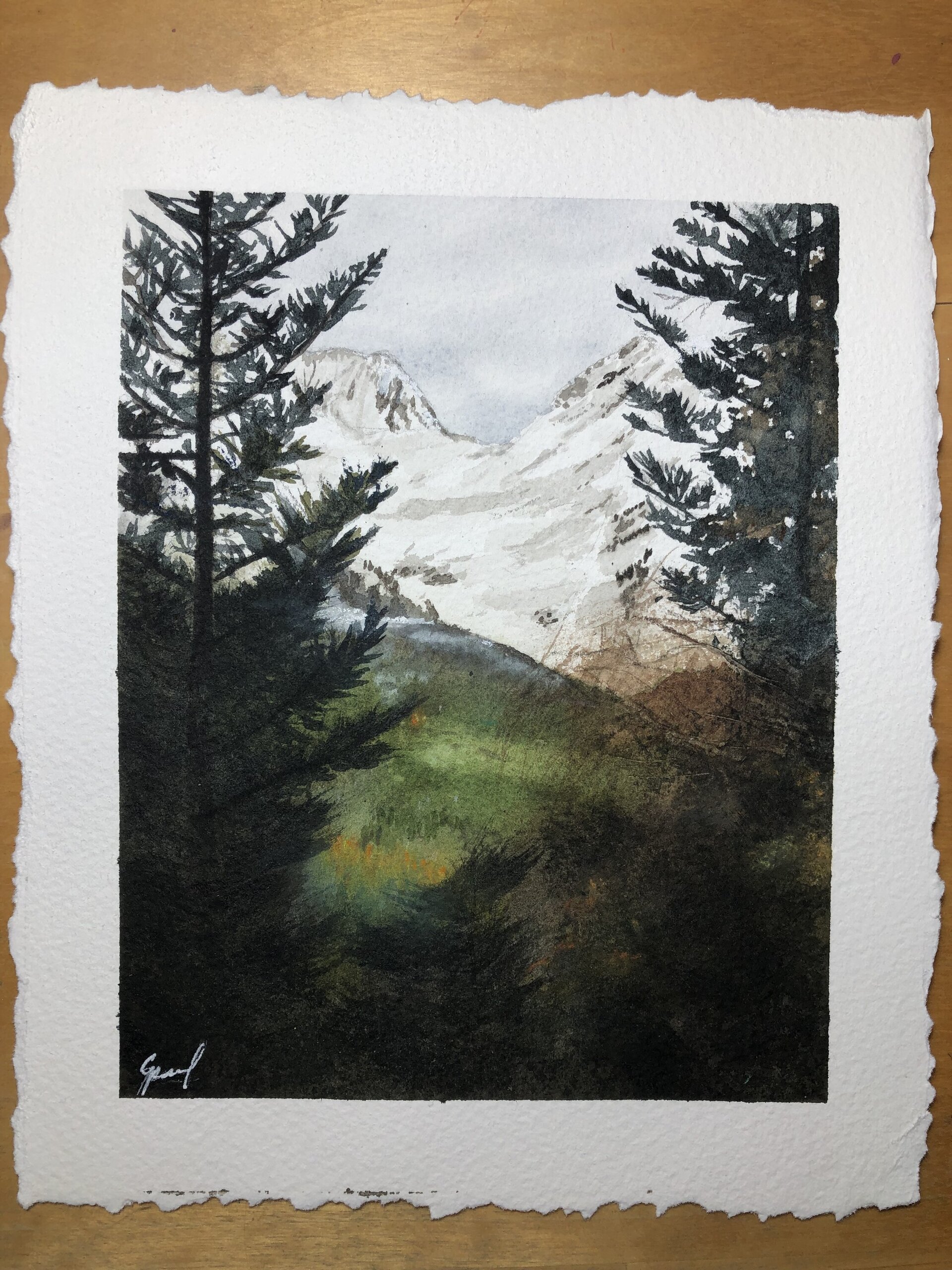 Claro en el Bosque - 13